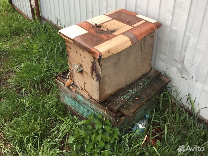 Ловушка для пчёл новые и б/у