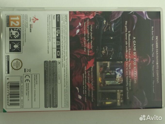 Bloodstained Nintendo switch