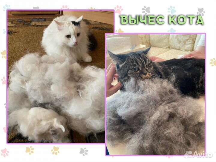 Стрижка собак и кошек