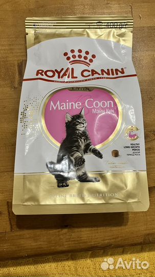 Корм для котят royal canin мейн-кун