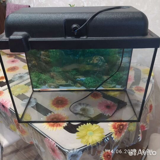 Аквариум
