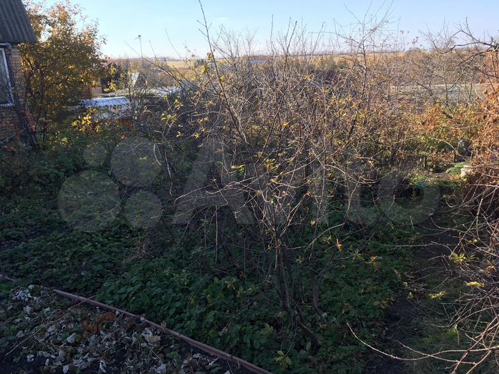 Дача 25 м² на участке 4,7 сот.