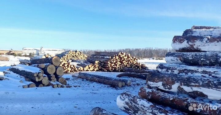 Круглый лес