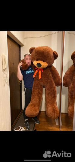 Плюшевый медведь огромный