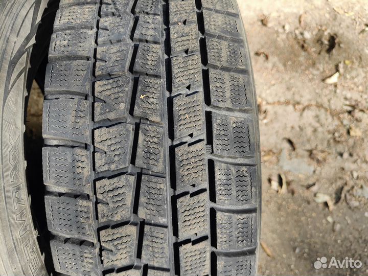 Dunlop Winter Maxx WM01 205/60 R16 92Q