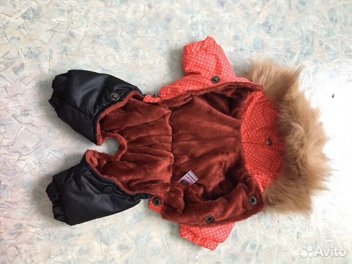 Одежда для маленьких собак зимняя