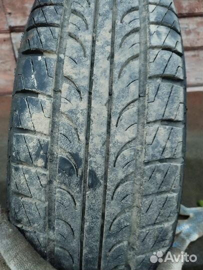 Tunga Tunga 175/70 R13