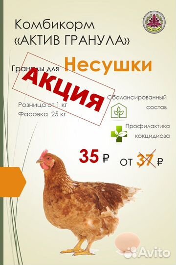 Комбикорм для Бройлера (гранула)
