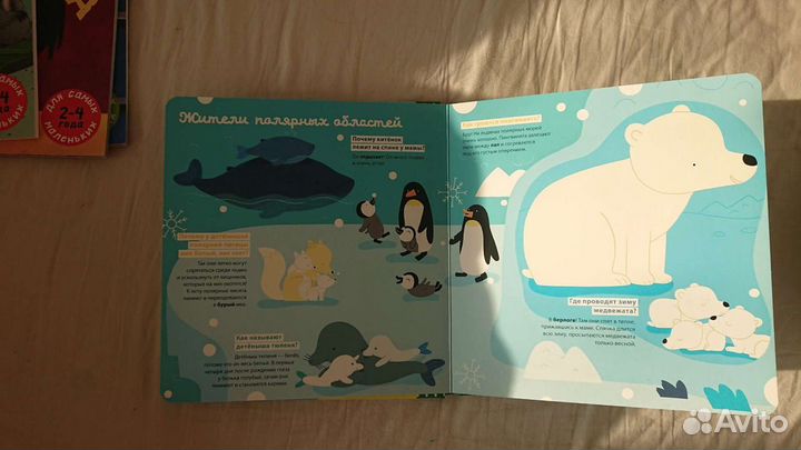 Книги clever новые