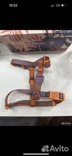 Шлейка для собаки