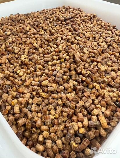 Перга из Алтая