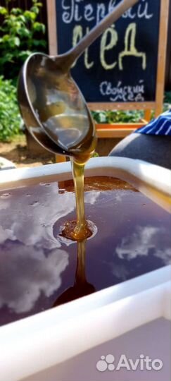 Мёд 2023 свежий 5 сортов мёда (с пасеки)