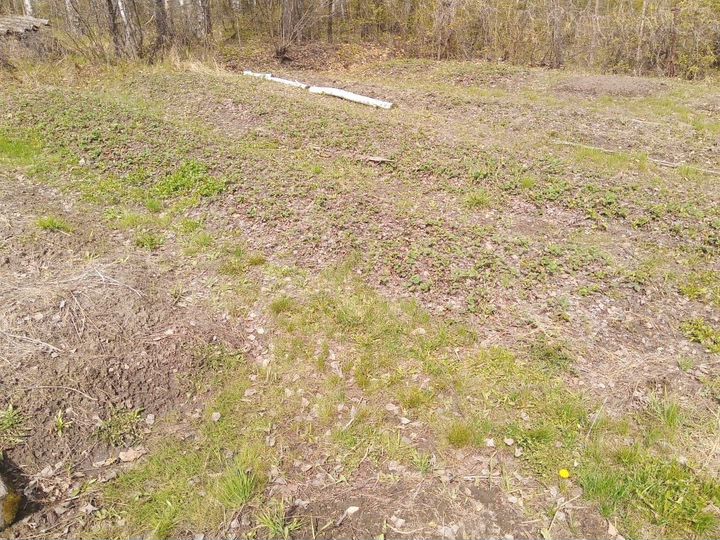 Дача 20 м² на участке 10 сот.