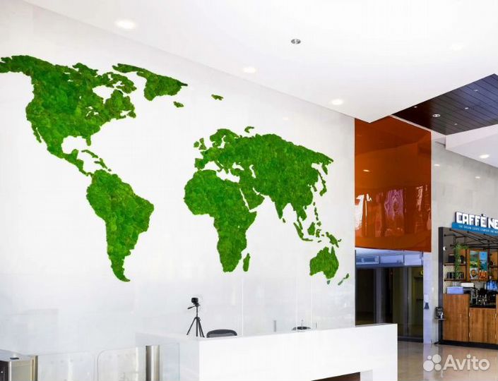 Карта мира из мха без подсветки