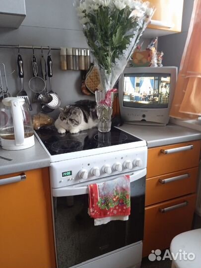 Экзот жених