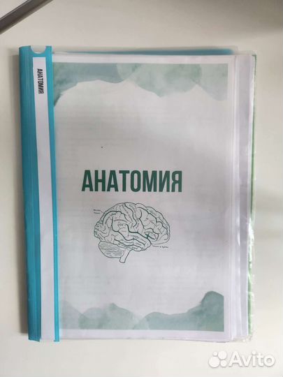 Конспекты по биологии для подготовки к егэ