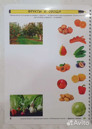 Логика и познание