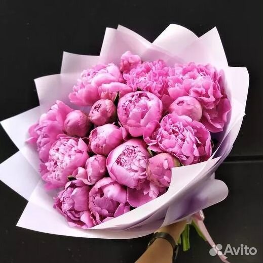Пионы букет