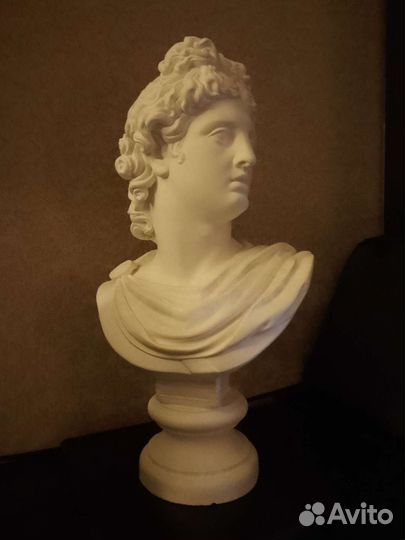 Гипсовый бюст Апполона Бельведерского