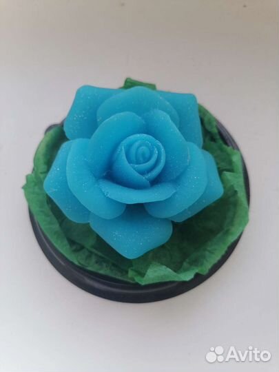 Роза в куполе