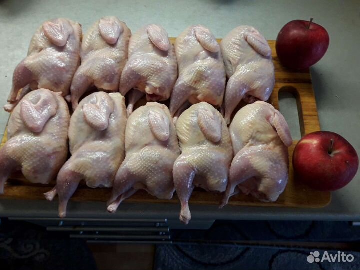 Мясо перепелов