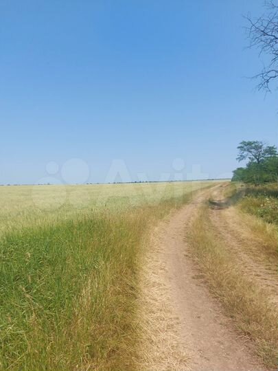 Участок 5,3 га (СНТ, ДНП)