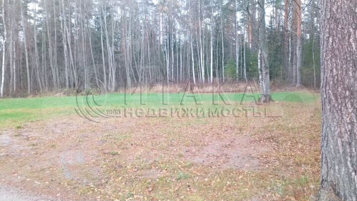 Участок 10 сот. (СНТ, ДНП)