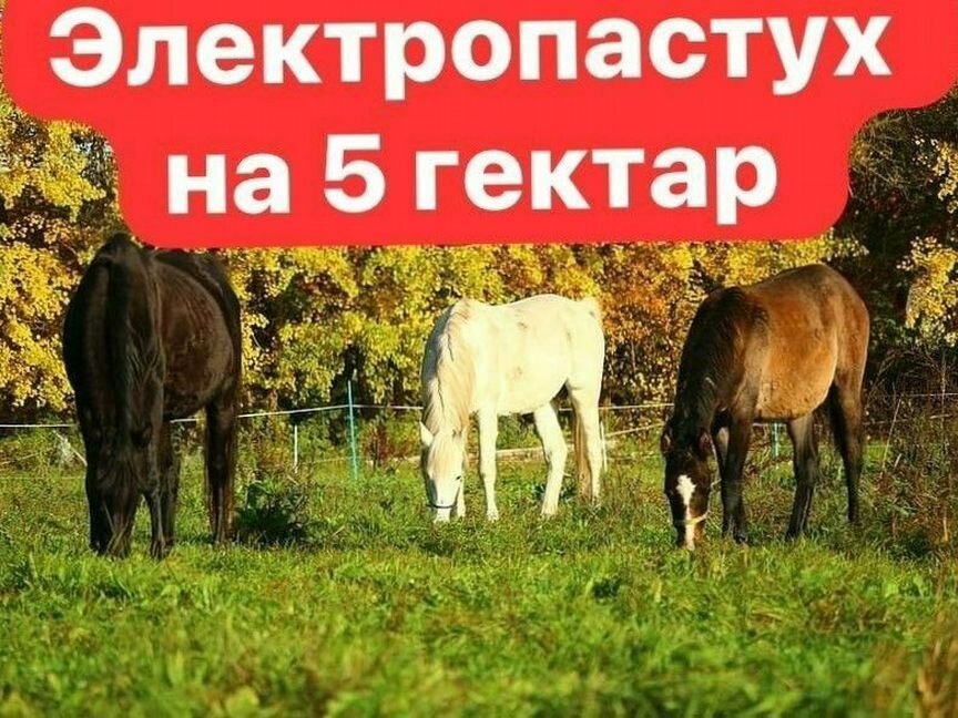 Электропастух товары для животных