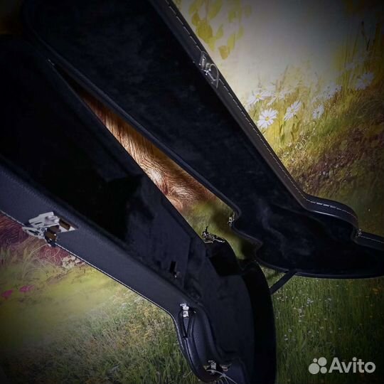 Кейс Gibson