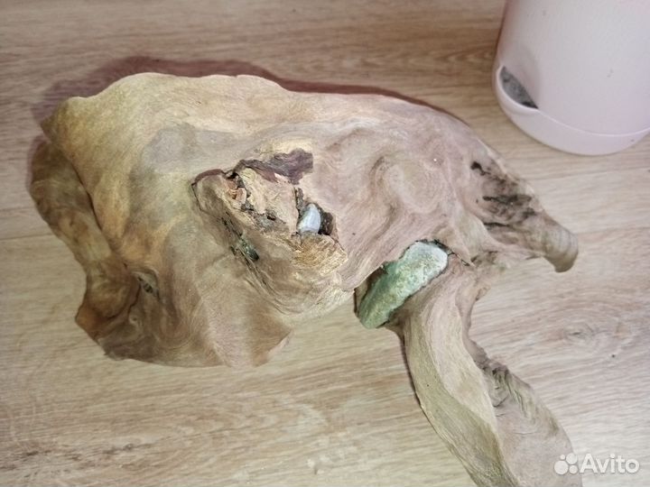Большая коряга