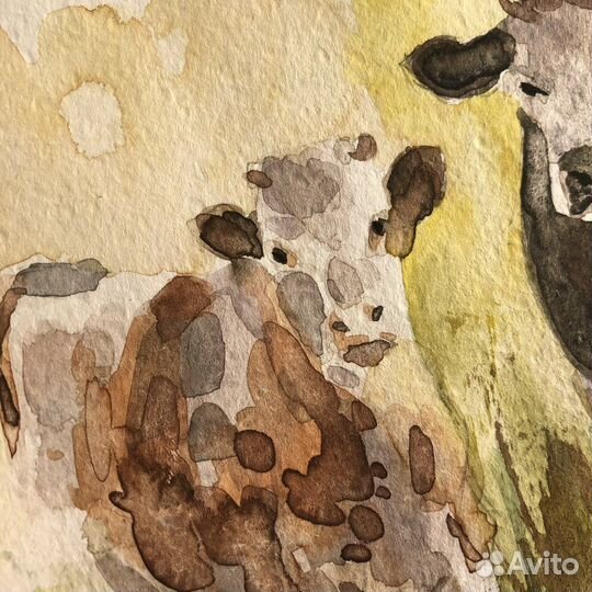 Акварельный диптих 