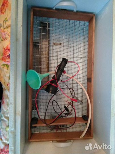 Инкубатор блиц norma