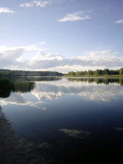 Участок 6 сот. (СНТ, ДНП)