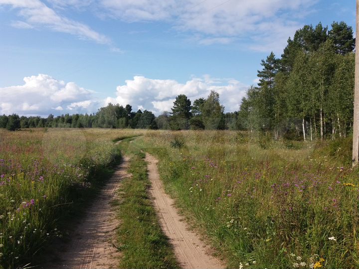 Участок 9,9 га (ИЖС)