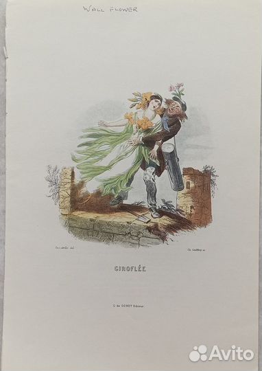 Винтажные иллюстрации Ожившие цветы Гранвиль