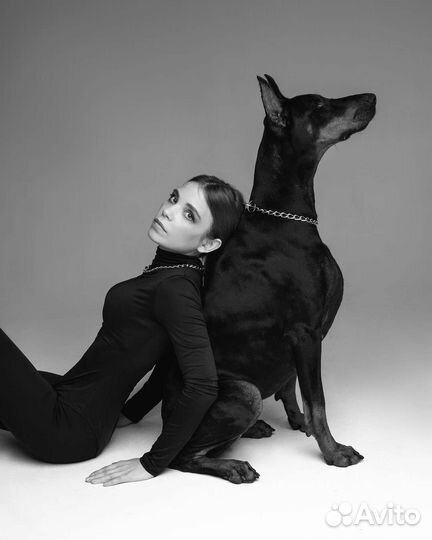 Фотосессия с доберманом 