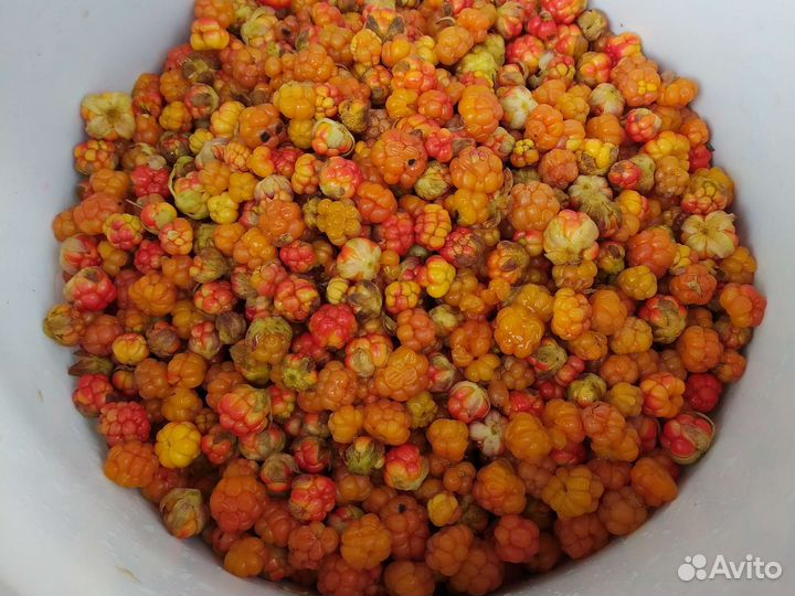 Морошка свежая