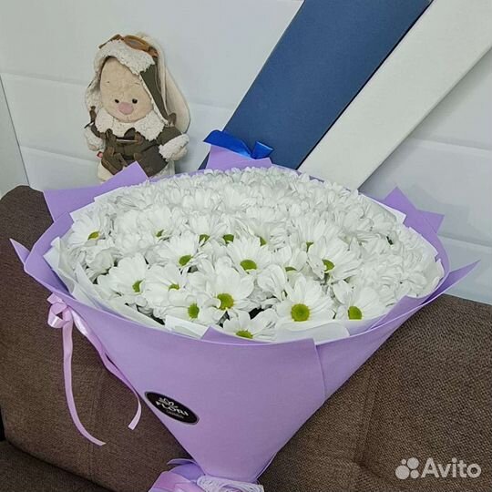 Букет лакшери из 25 ромашковый хризантем