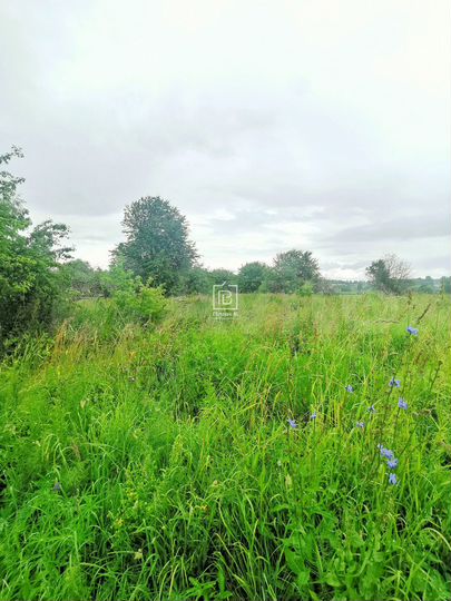 Участок 40 сот. (личное подсобное хозяйство (лпх))