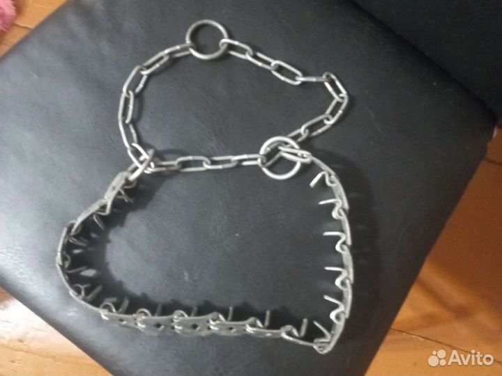 Строгий ошейник для собак