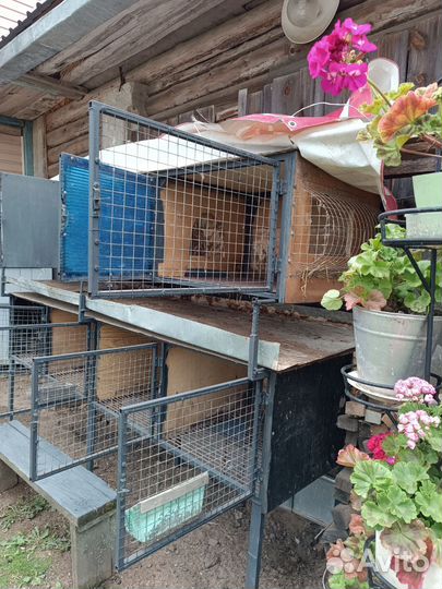 Клетка для кроликов