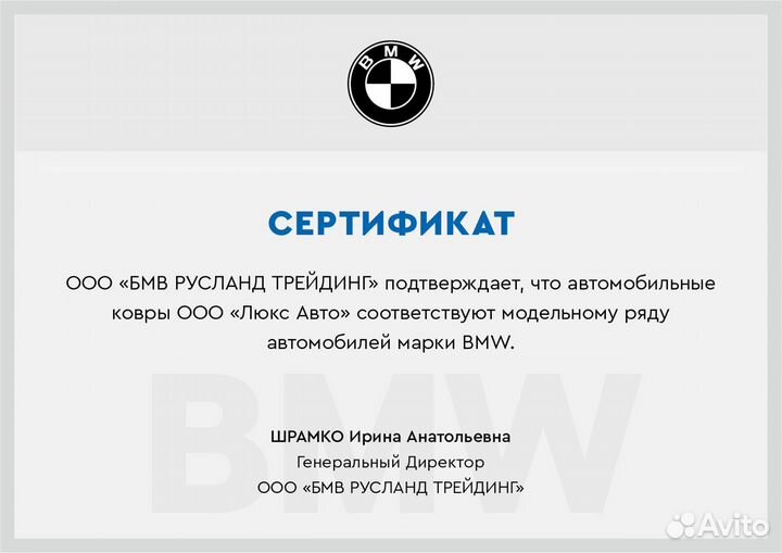 3D Коврики BMW X6 из Экокожи