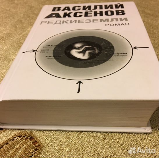 Василий Аксёнов Редкие земли