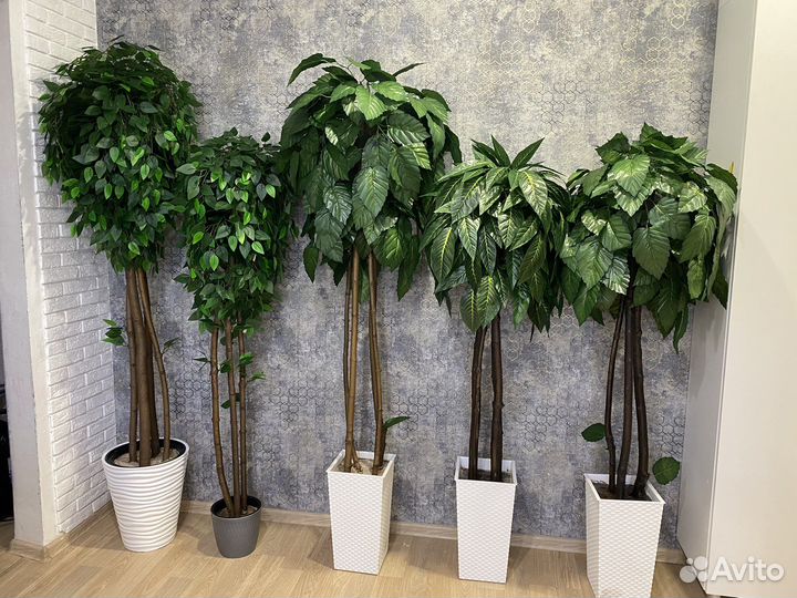 Искусственные Пальмы, фикусы, деревья в кашпо
