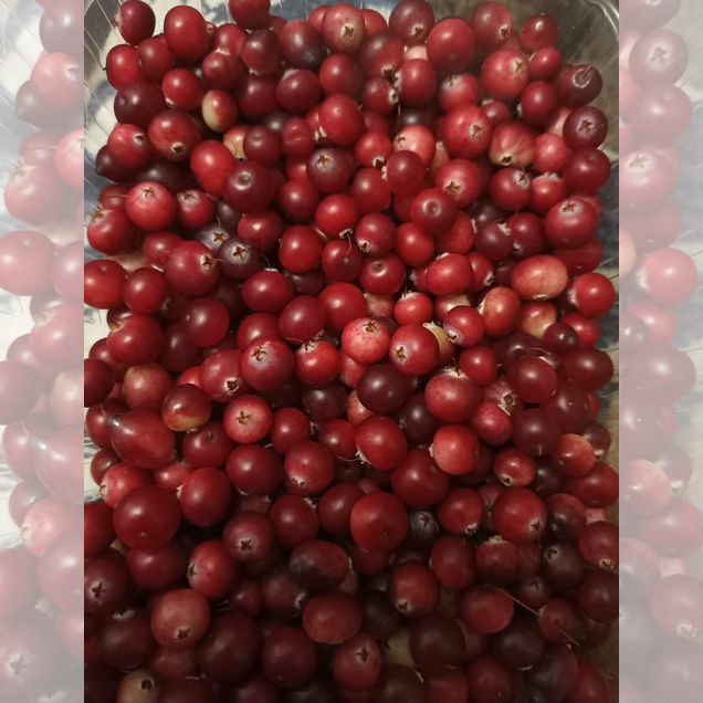 Клюква свежая и брусника