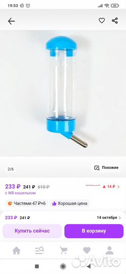 Морская свинка с клеткой