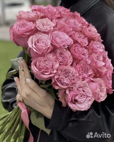 Пионовидная розы Эквадор премиум