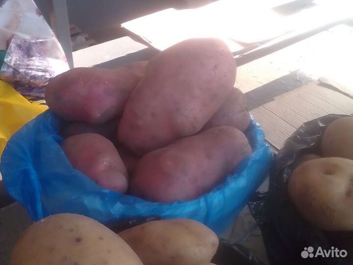 Продукты питания