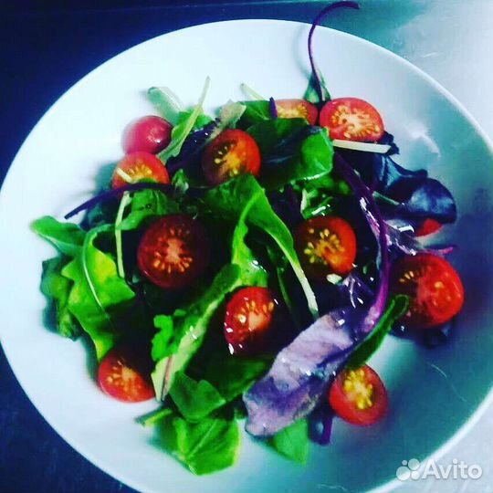 Повар универсал