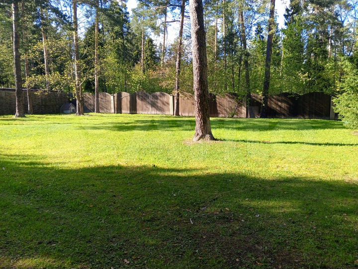 Участок 16 сот. (СНТ, ДНП)